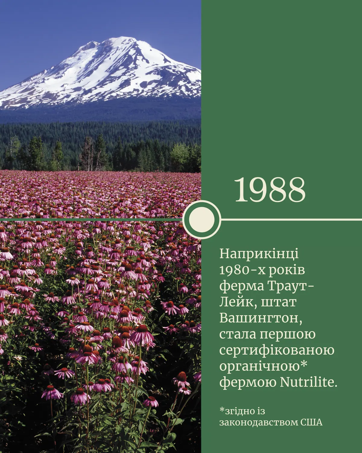 Amway Nutrilite editorial social layout