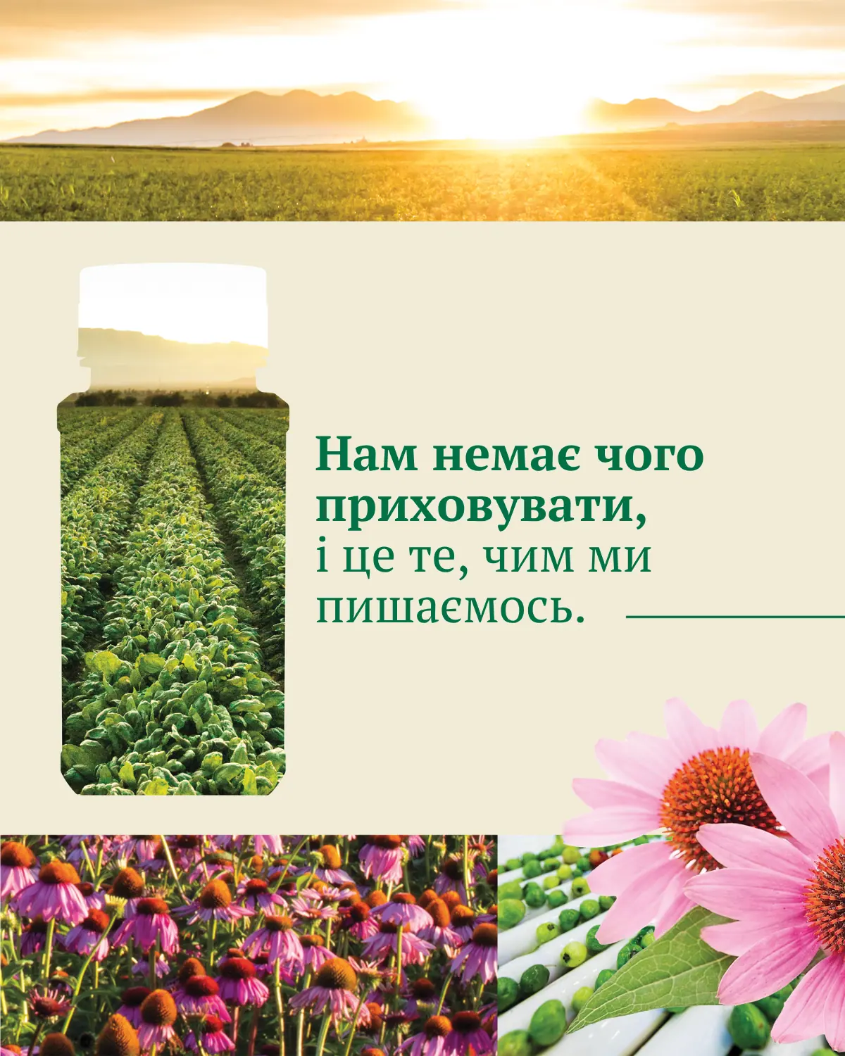 Amway Nutrilite editorial social layout
