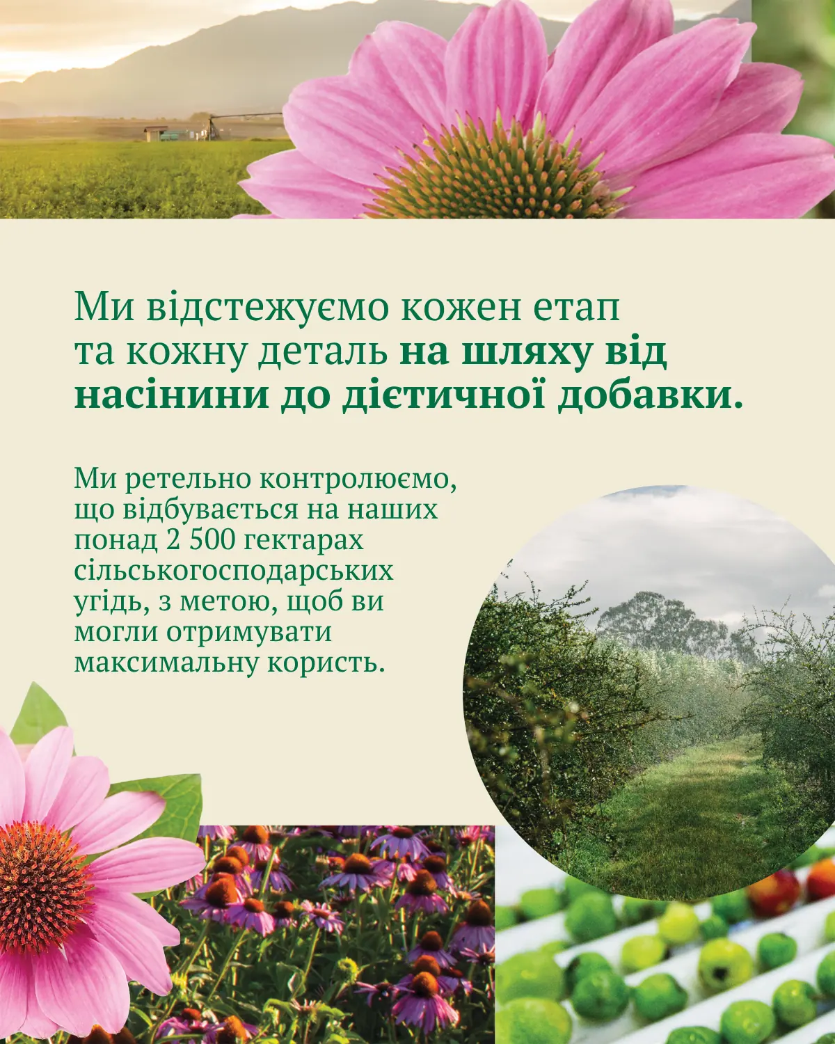 Amway Nutrilite editorial social layout